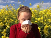 ¿Cómo prevenir los ataques de alergia en verano?